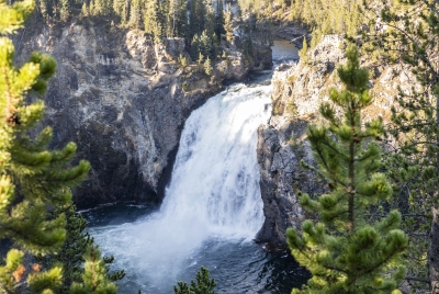 Upper Falls Yellowstone River 2024